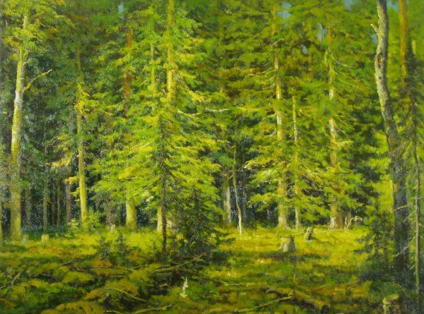 Coniferous Forest