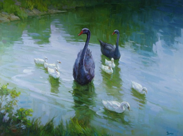 Black Swan Family