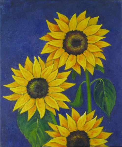 Sonnenblumen