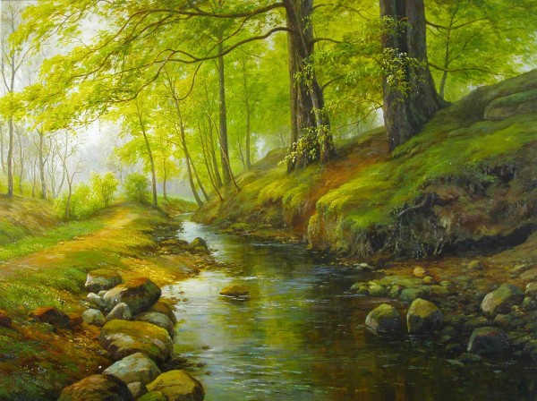 Bach im Wald
