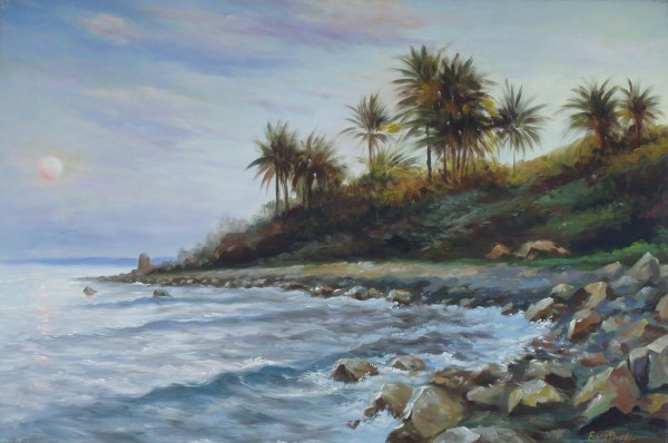 Coast with Palm Trees