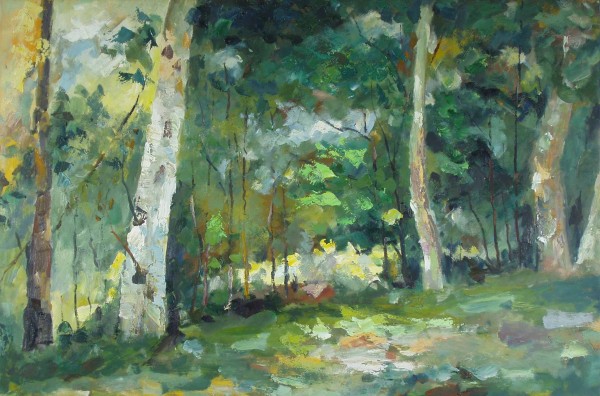 Mixed Forest with Birch Trees