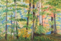 Mischwald mit Birken Mischwald mit Birken