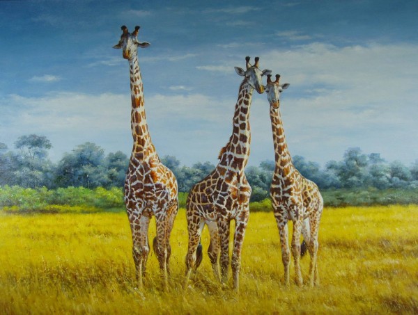 Giraffen