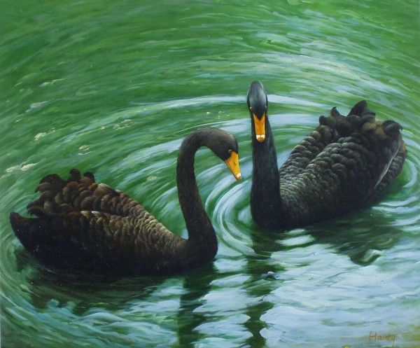 Black Swans