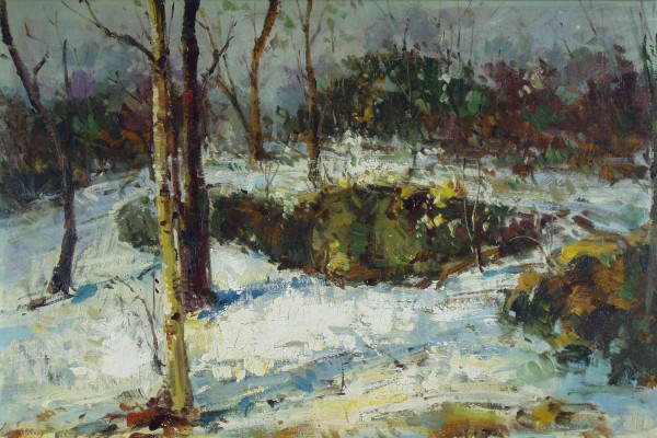 Wald im Winter